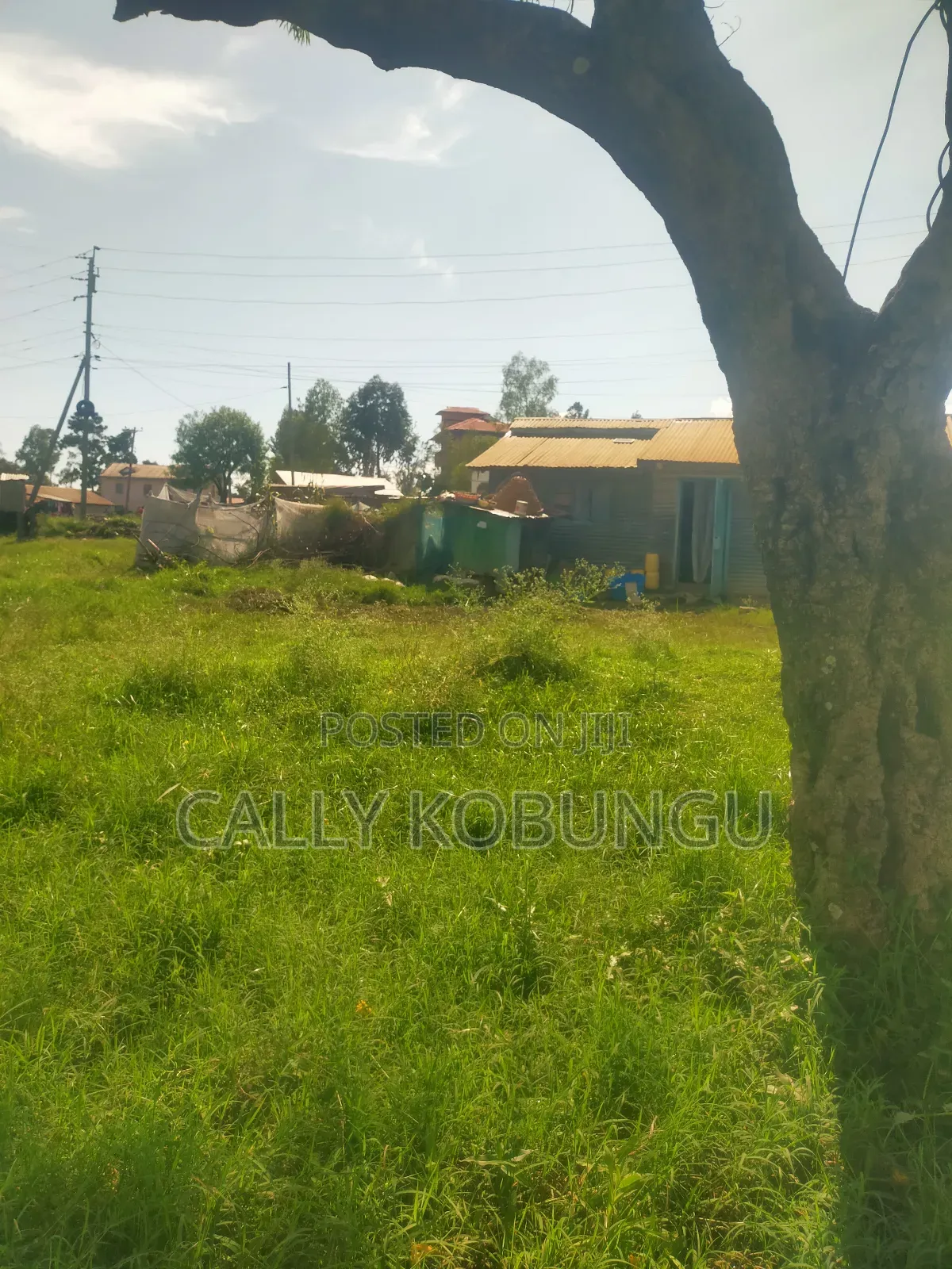 0.04 Ha at Daraja Mbili, Mayatta B
