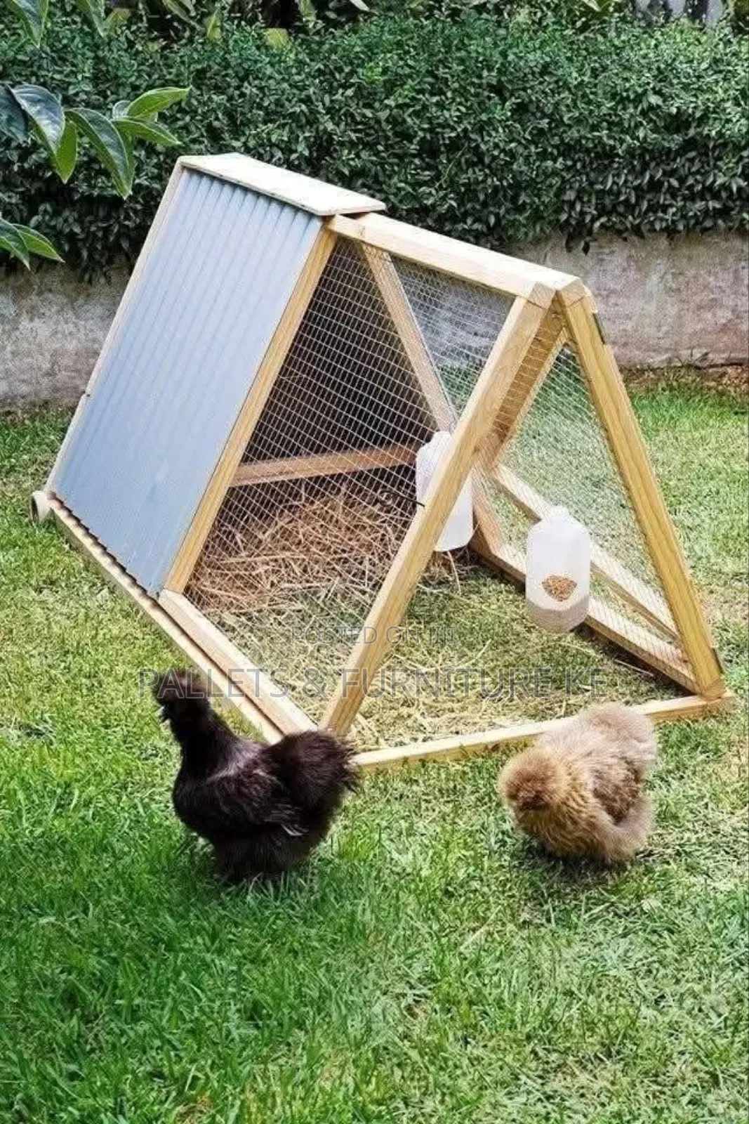 Wire Nest Enclosure