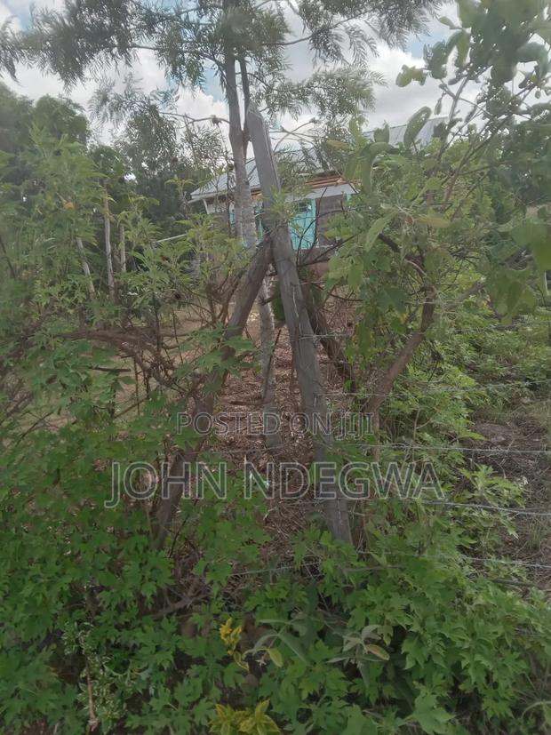 2bdrm Bungalow in Kiambu / Kiambu for sale - thumbnail 2