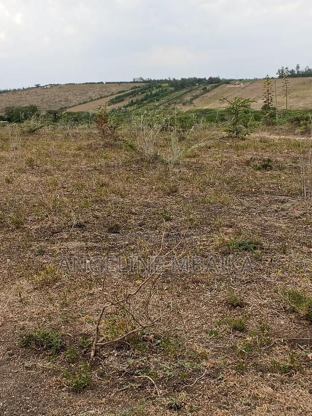 Land Property for Sale