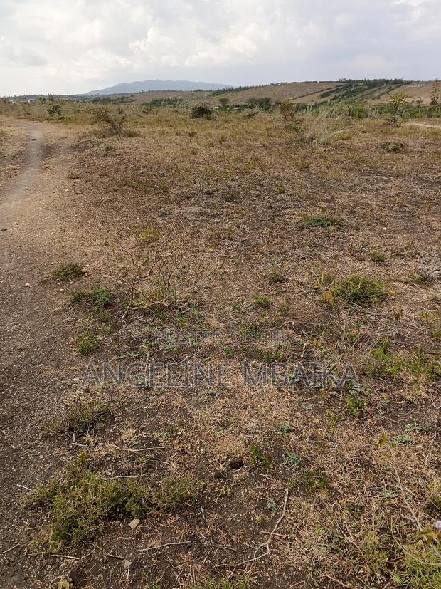 Land Property for Sale - thumbnail 3