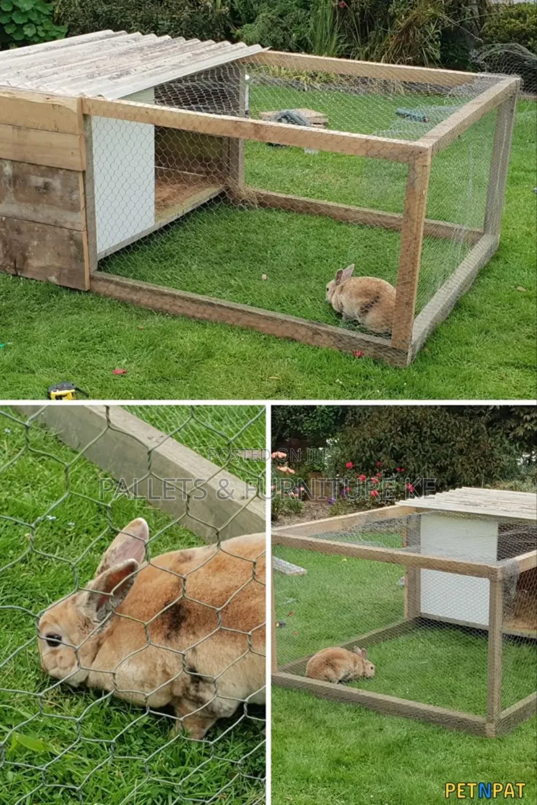 Bunny Barrier