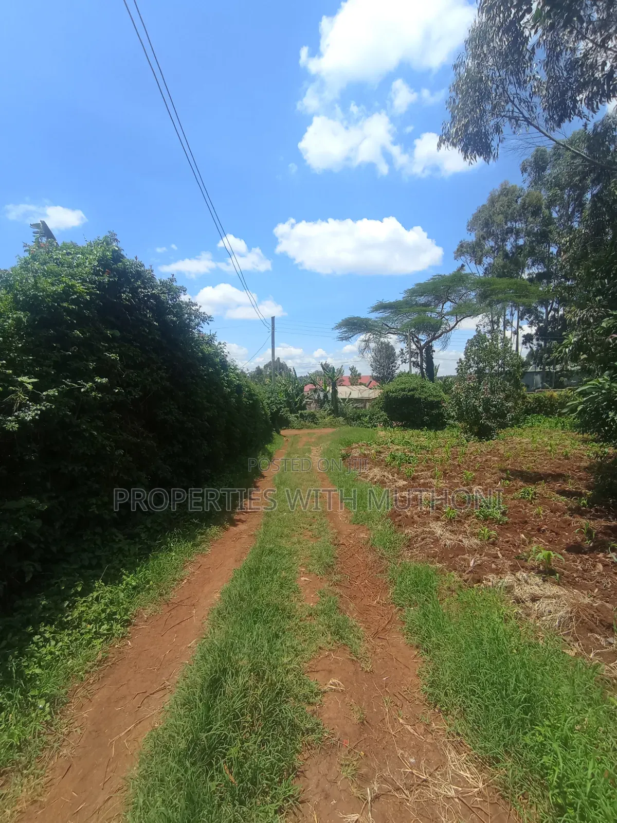 50×100 Plots for Sale in Gikambura, Kikuyu.