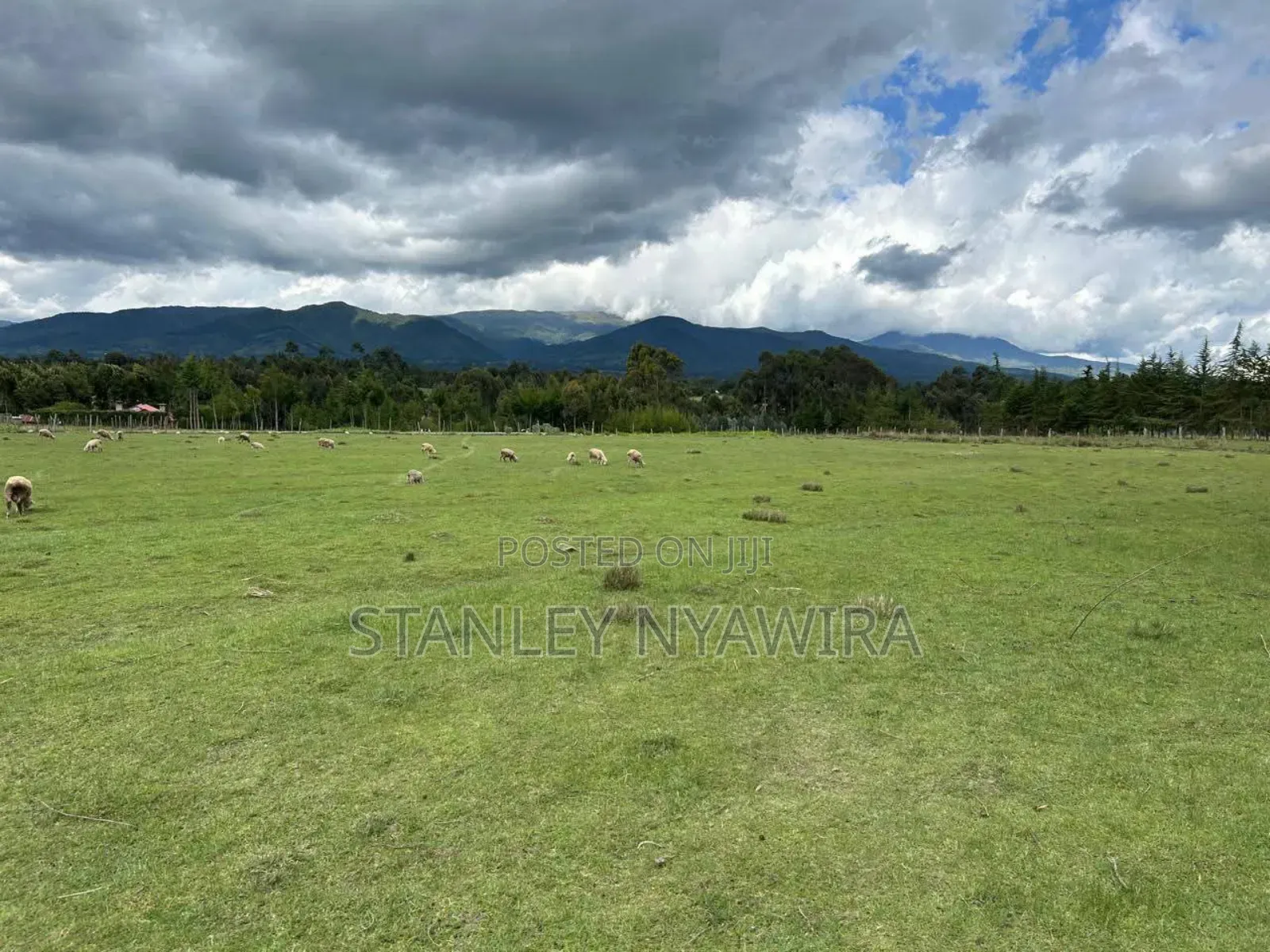 6 Acres Nanyuki Sweet Water Olopajeta Rongai Gate