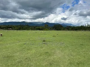 6 Acres Nanyuki Sweet Water Olopajeta Rongai Gate