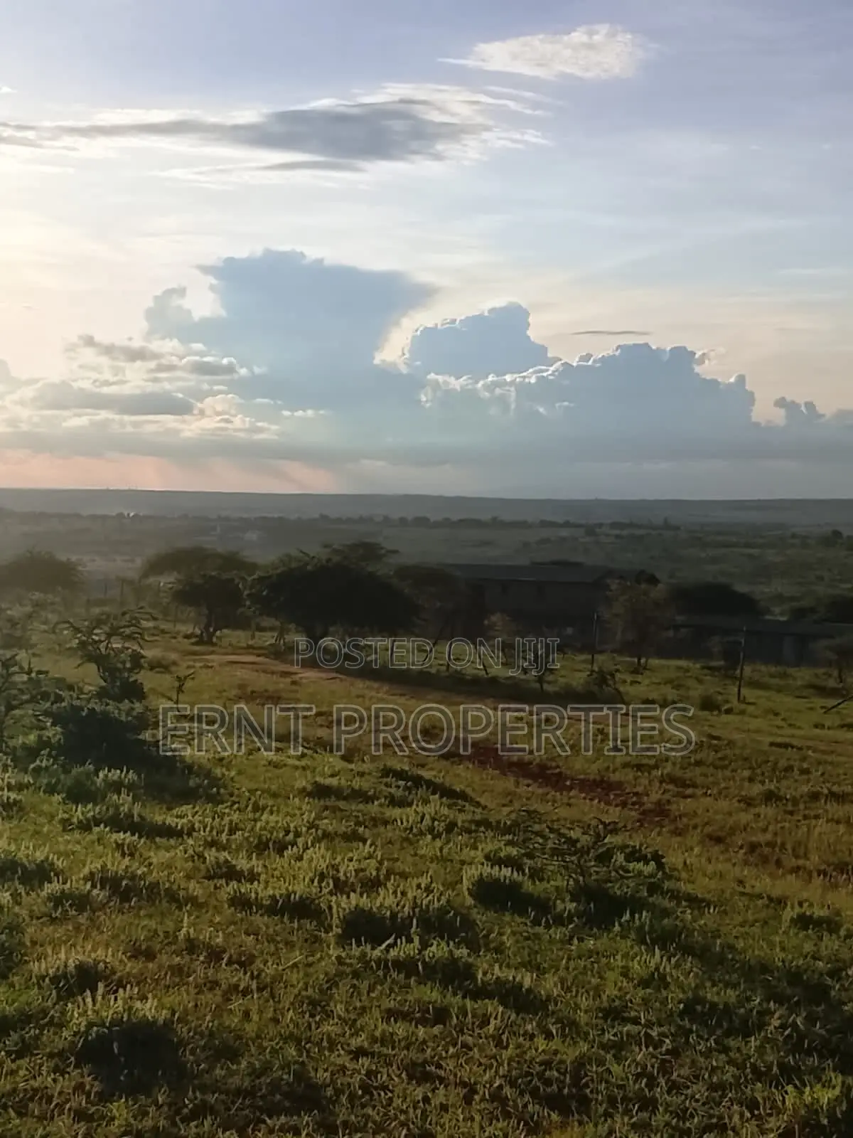 Two Adjacent Quarter Acre Plots in Malili Mukaa