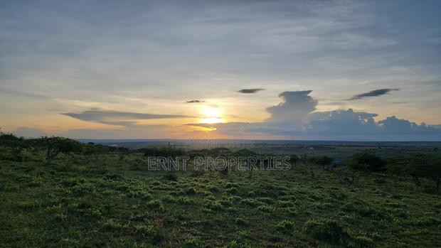 Two Adjacent Quarter Acre Plots in Malili Mukaa - thumbnail 2