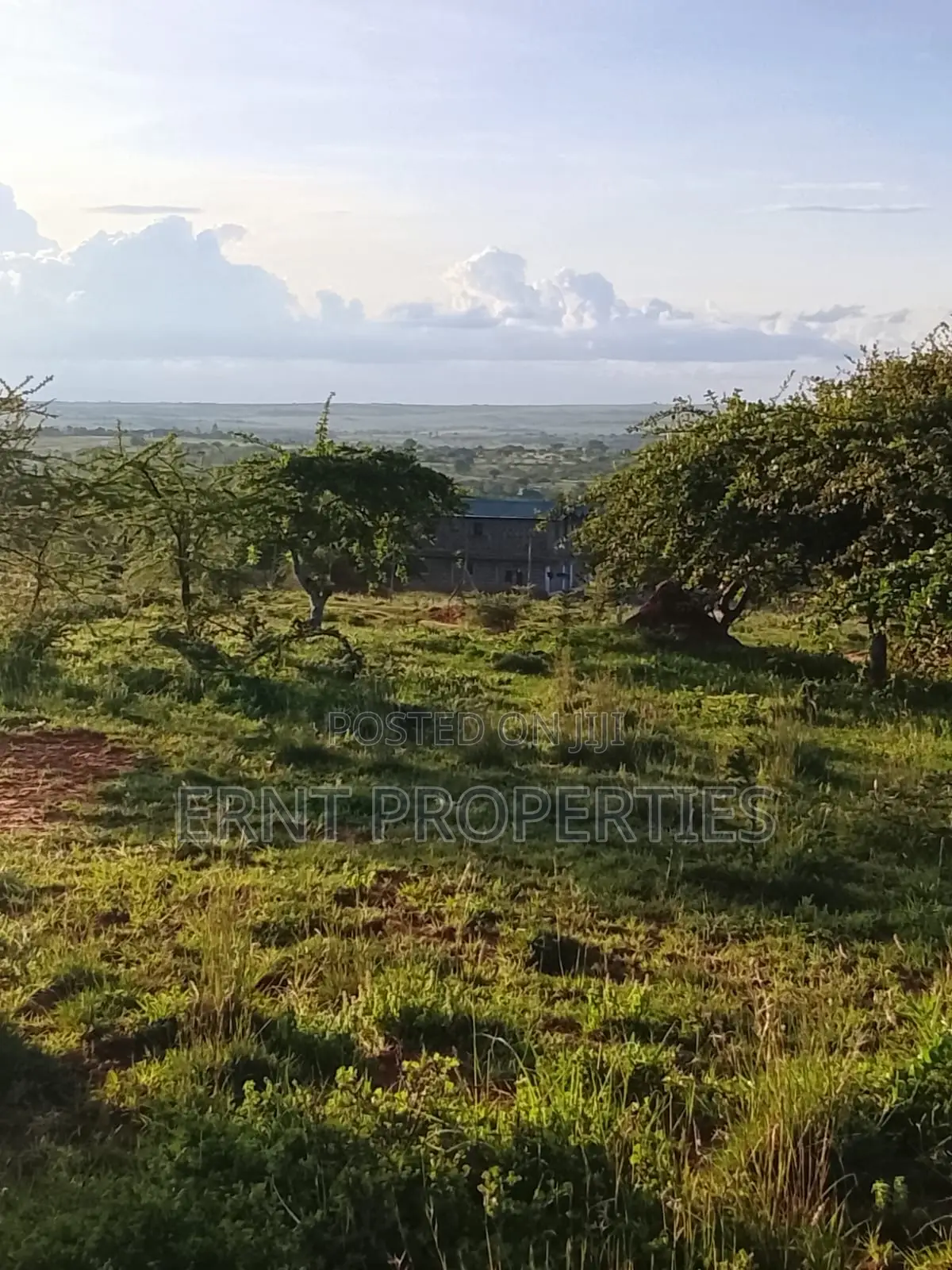 Two Adjacent Quarter Acre Plots in Malili Mukaa