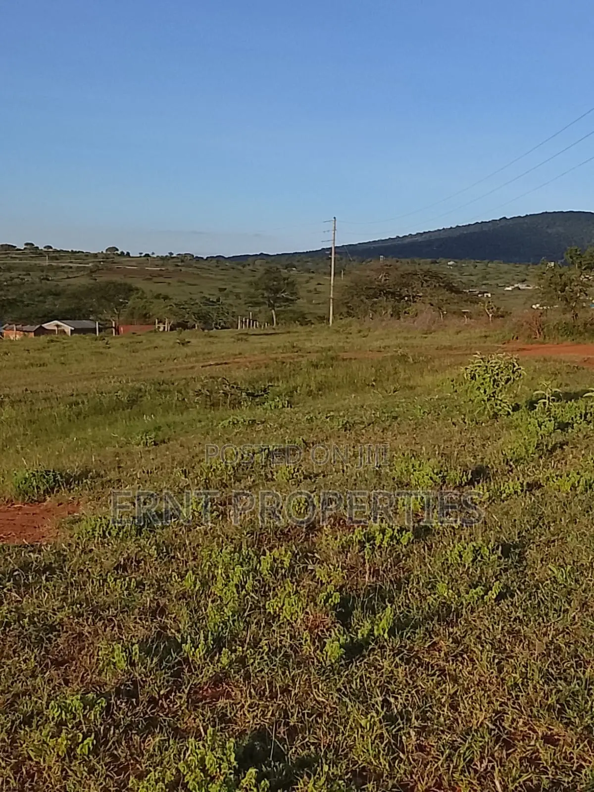Two Adjacent Quarter Acre Plots in Malili Mukaa
