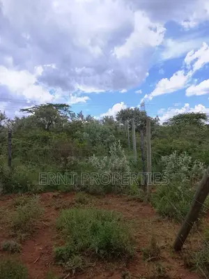 Prime Corner 100x100 Plot for Sale in Ngong Kimuka Near Tarmac