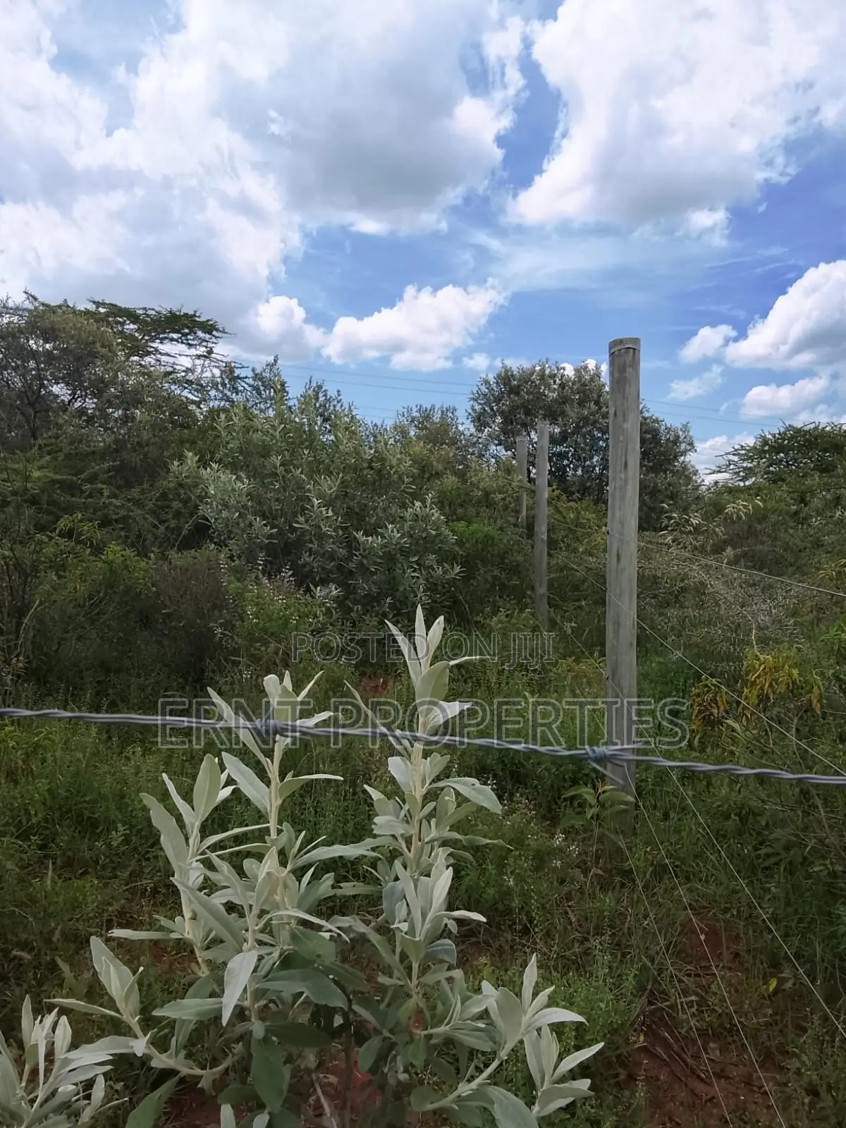 Prime Corner 100x100 Plot for Sale in Ngong Kimuka Near Tarmac