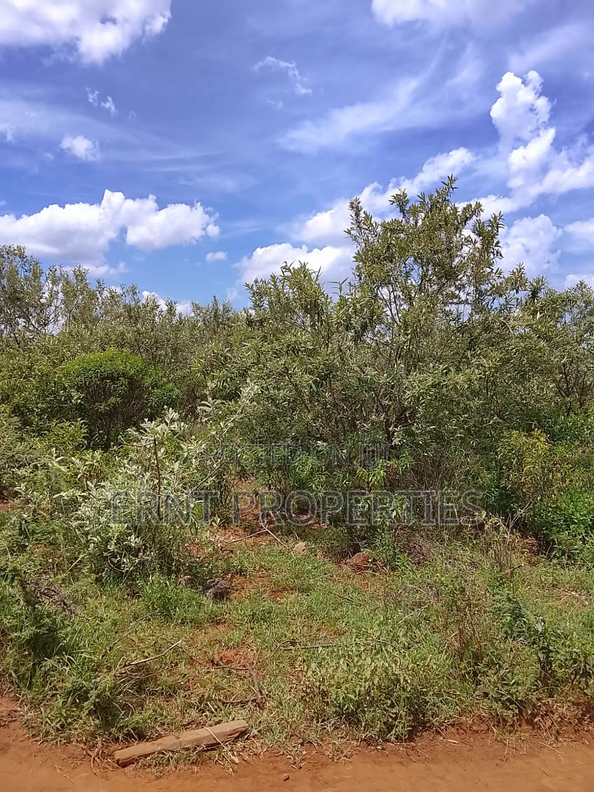 Prime Corner 100x100 Plot for Sale in Ngong Kimuka Near Tarmac
