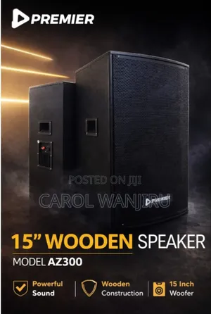 Powerful 15inch Wooden Speaker /15inch Wooden Speaker