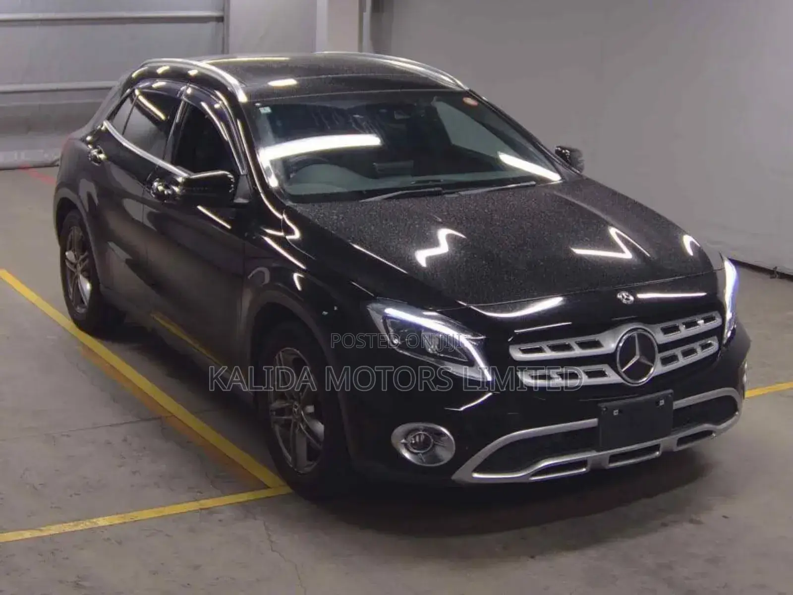 Motor Vehicle Import Service