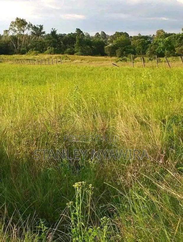 4 Acres Nanyuki Daiga