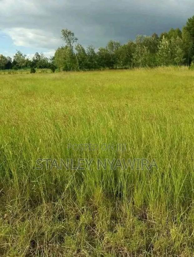4 Acres Nanyuki Daiga - thumbnail 2