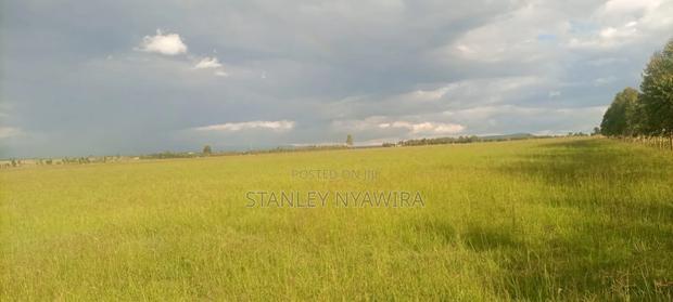 4 Acres Nanyuki Daiga - thumbnail 3