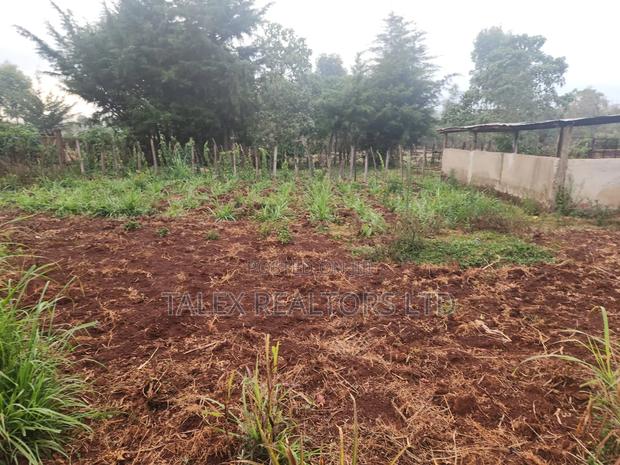 Own Kenya's Finest 1000-Acre Mixed Farm in Kitale-Trans- Nzoia County - thumbnail 5