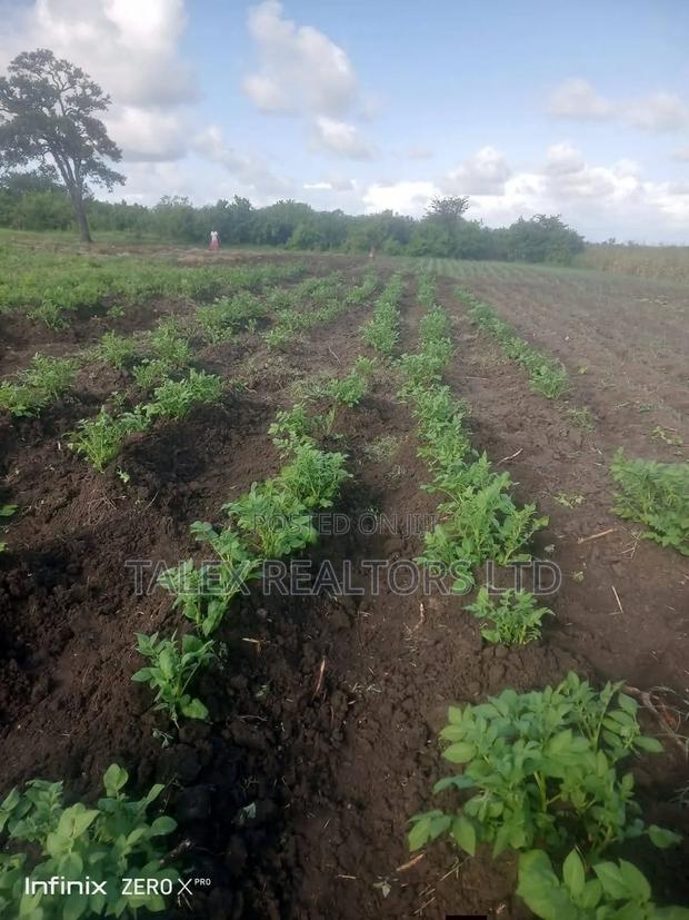 Own Kenya's Finest 1000-Acre Mixed Farm in Kitale-Trans- Nzoia County - thumbnail 7