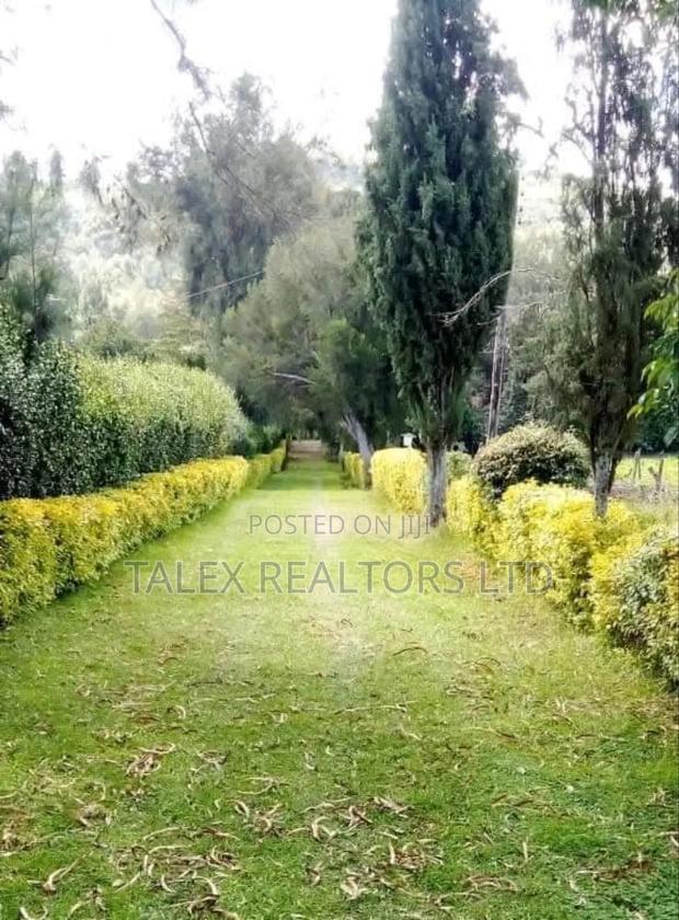 Own Kenya's Finest 1000-Acre Mixed Farm in Kitale-Trans- Nzoia County - thumbnail 8