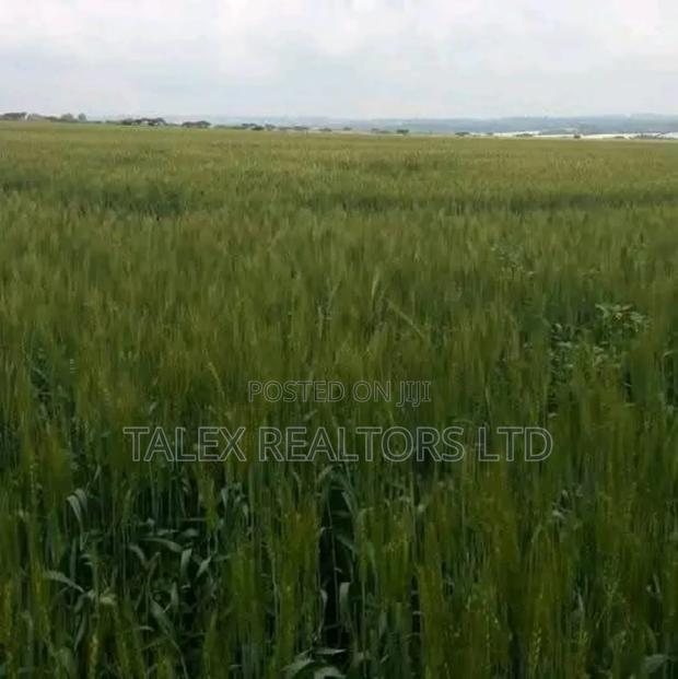 Own Kenya's Finest 1000-Acre Mixed Farm in Kitale-Trans- Nzoia County - thumbnail 10
