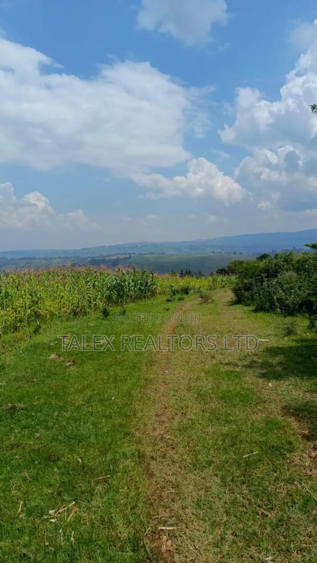 Own Kenya's Finest 1000-Acre Mixed Farm in Kitale-Trans- Nzoia County - thumbnail 11