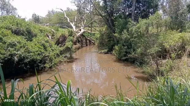 Own Kenya's Finest 1000-Acre Mixed Farm in Kitale-Trans- Nzoia County - thumbnail 14