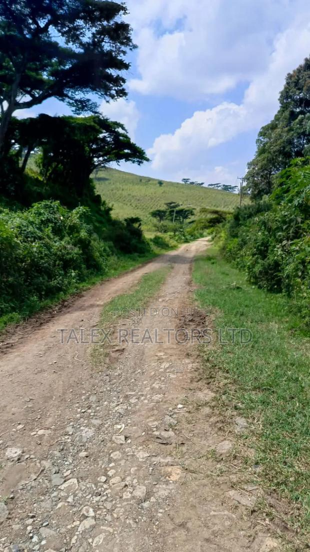 Own Kenya's Finest 1000-Acre Mixed Farm in Kitale-Trans- Nzoia County - thumbnail 17