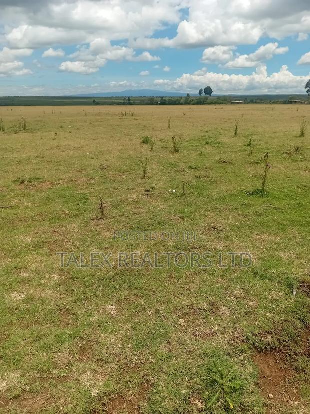 Own Kenya's Finest 1000-Acre Mixed Farm in Kitale-Trans- Nzoia County - thumbnail 18