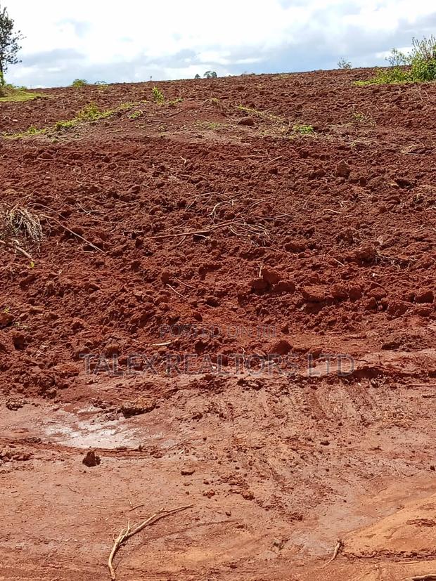 Own Kenya's Finest 1000-Acre Mixed Farm in Kitale-Trans- Nzoia County - thumbnail 20