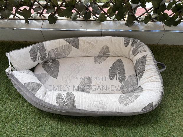 Cosleeper/ Bassinet