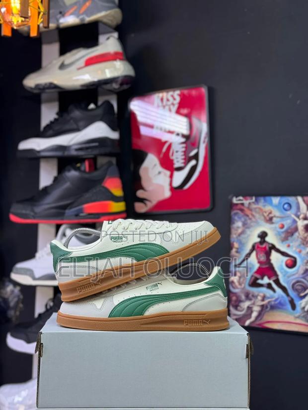 Grey Green Puma Indoor Odg. Sizes :_40 41 42 43 44 45_