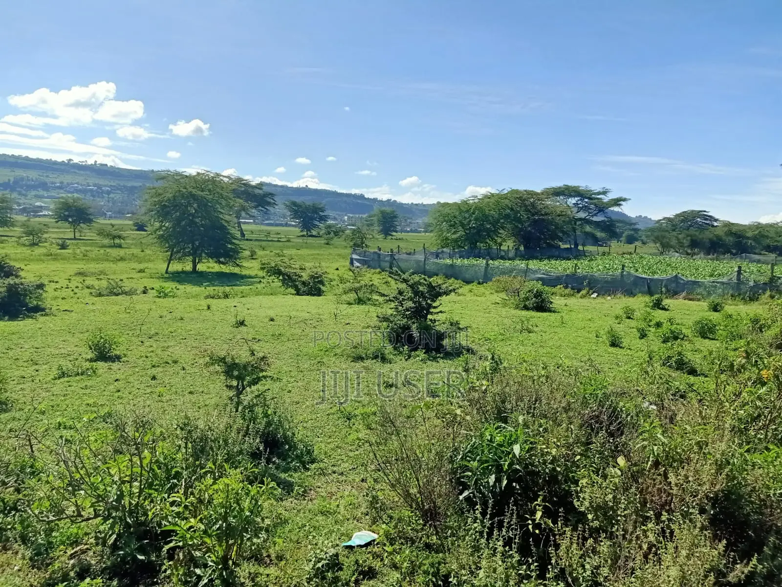 Kikopei Gilgil 50 X 100 Plots (0.0450ha)