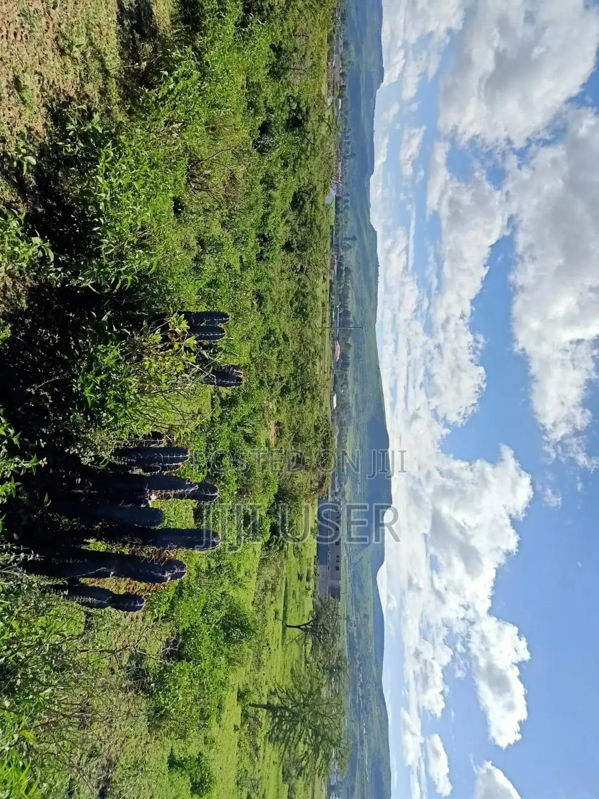 Kikopei Gilgil 50 X 100 Plots (0.0450ha)