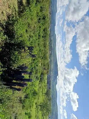 Kikopei Gilgil 50 X 100 Plots (0.0450ha)