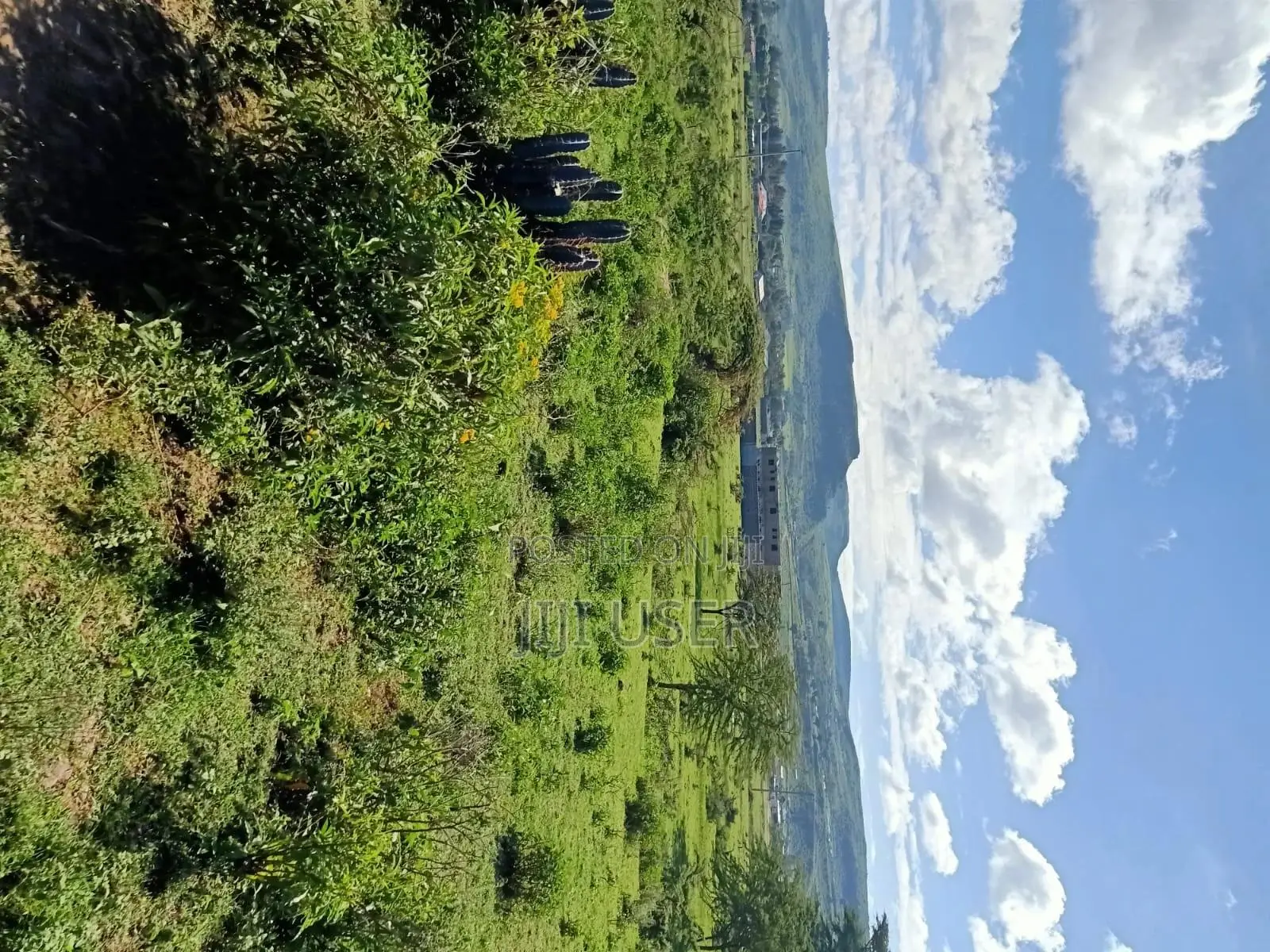Kikopei Gilgil 50 X 100 Plots (0.0450ha)
