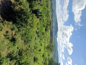 Kikopei Gilgil 50 X 100 Plots (0.0450ha)