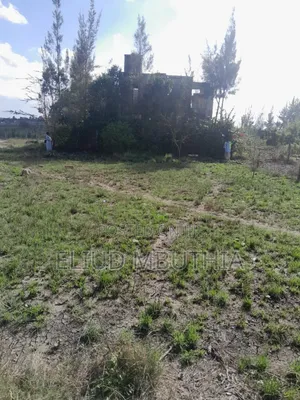 Selling Plot 40 by 80 at Affordable Price