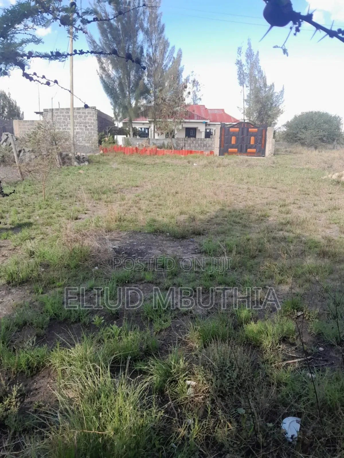 Selling Plot 40 by 80 at Affordable Price