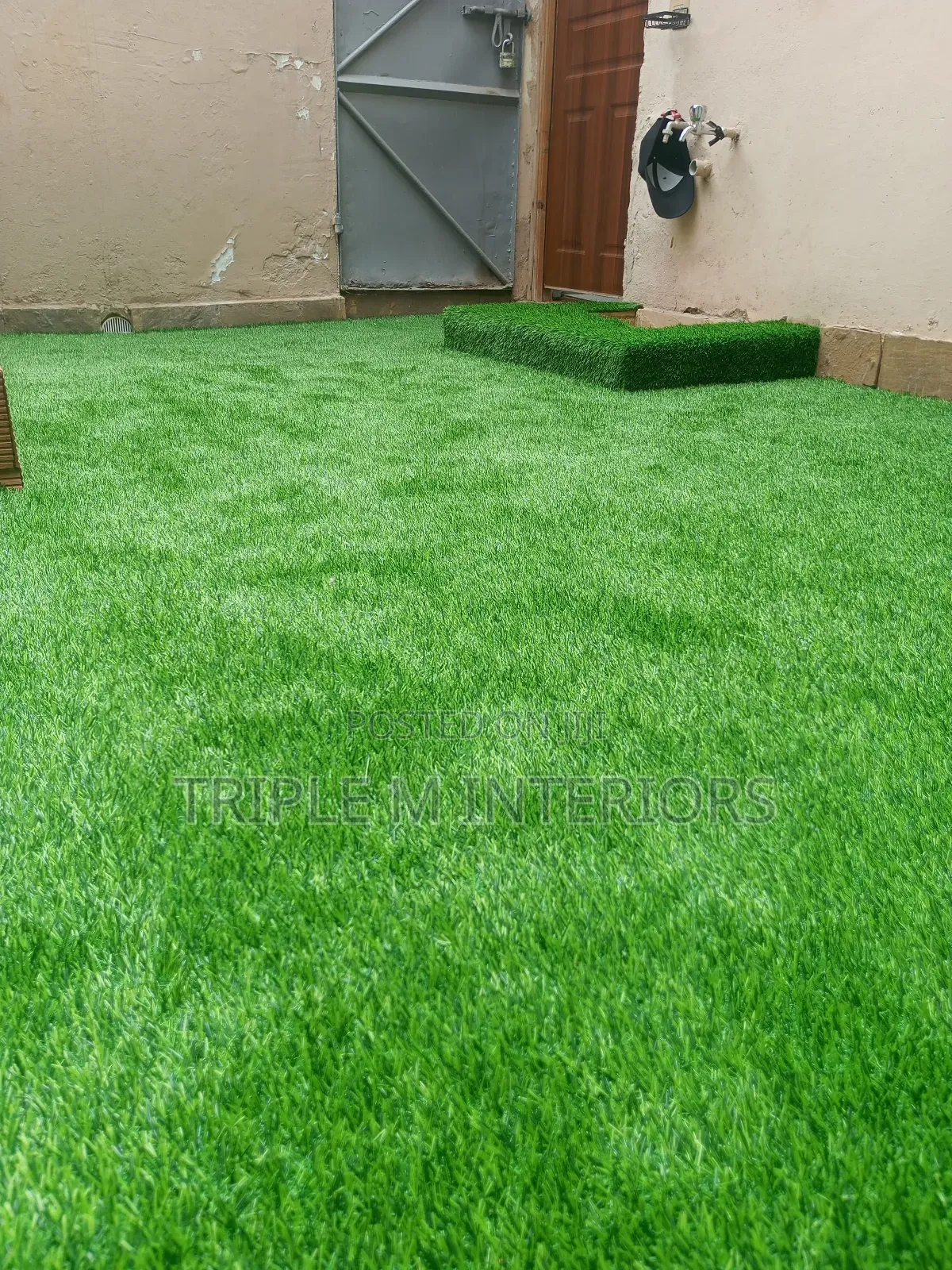 Affordable Premium Turf Grass