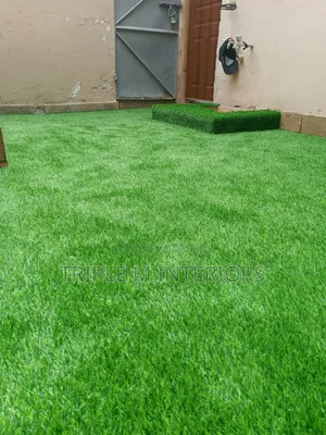 Affordable Premium Turf Grass