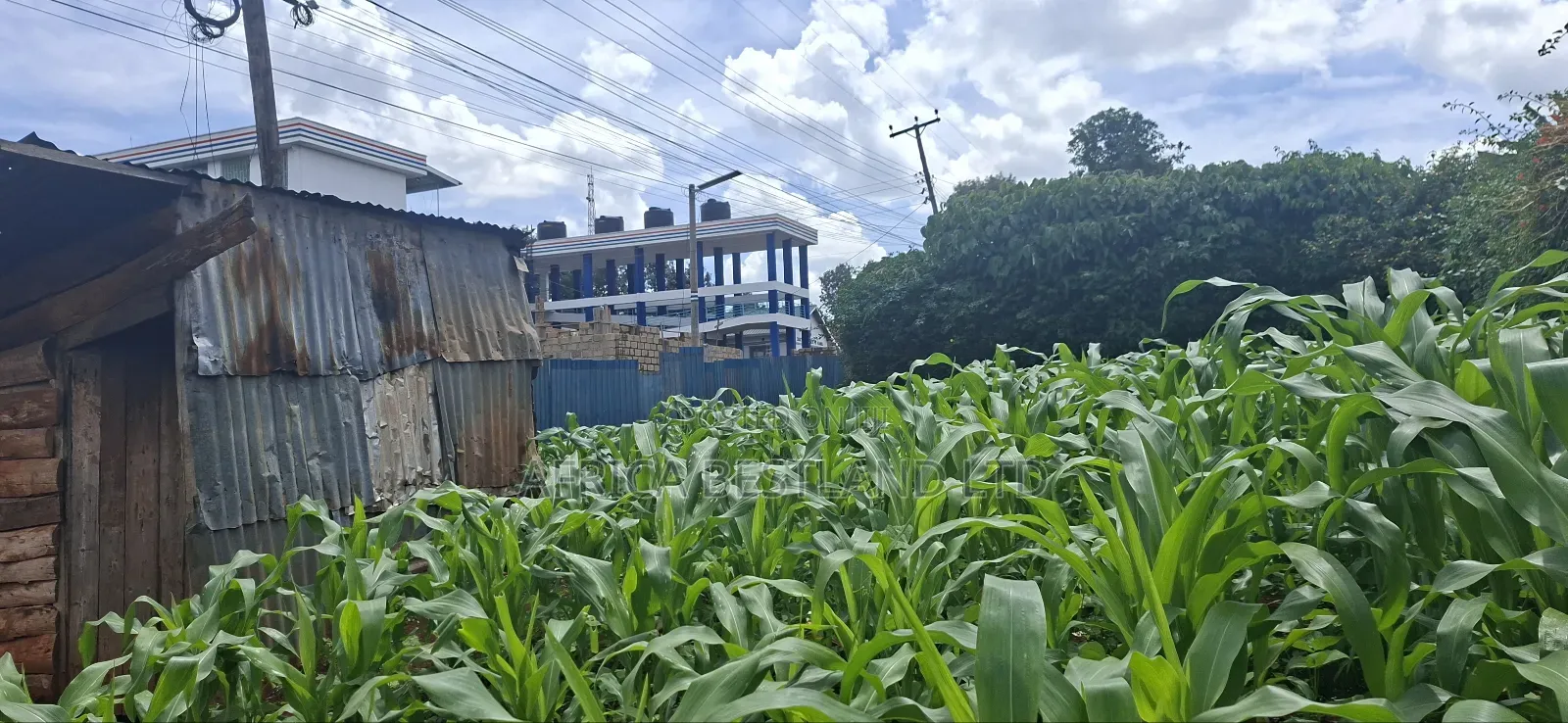 50x100 Available Plot for Sale in Kabete Gathiga