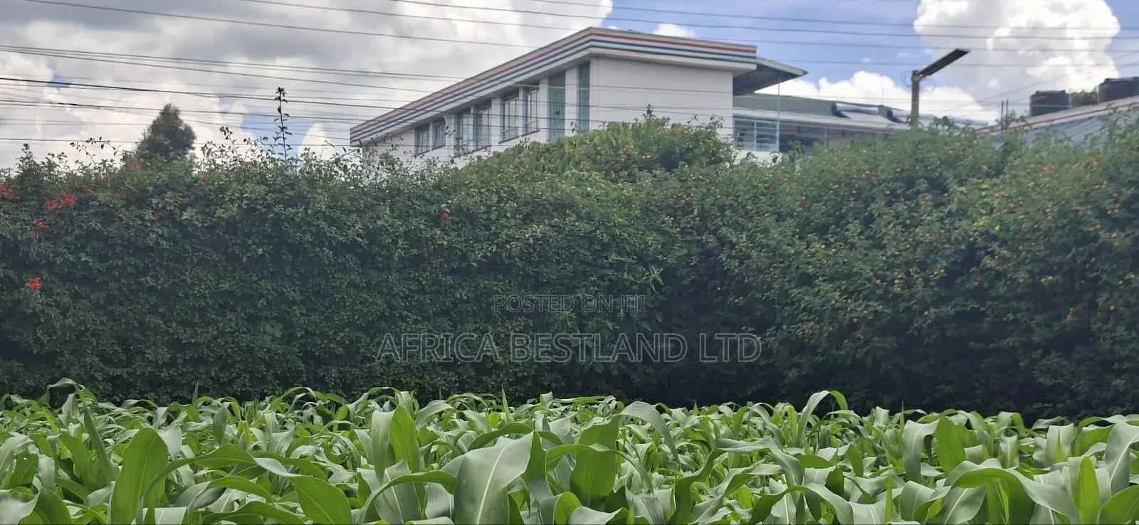 50x100 Available Plot for Sale in Kabete Gathiga