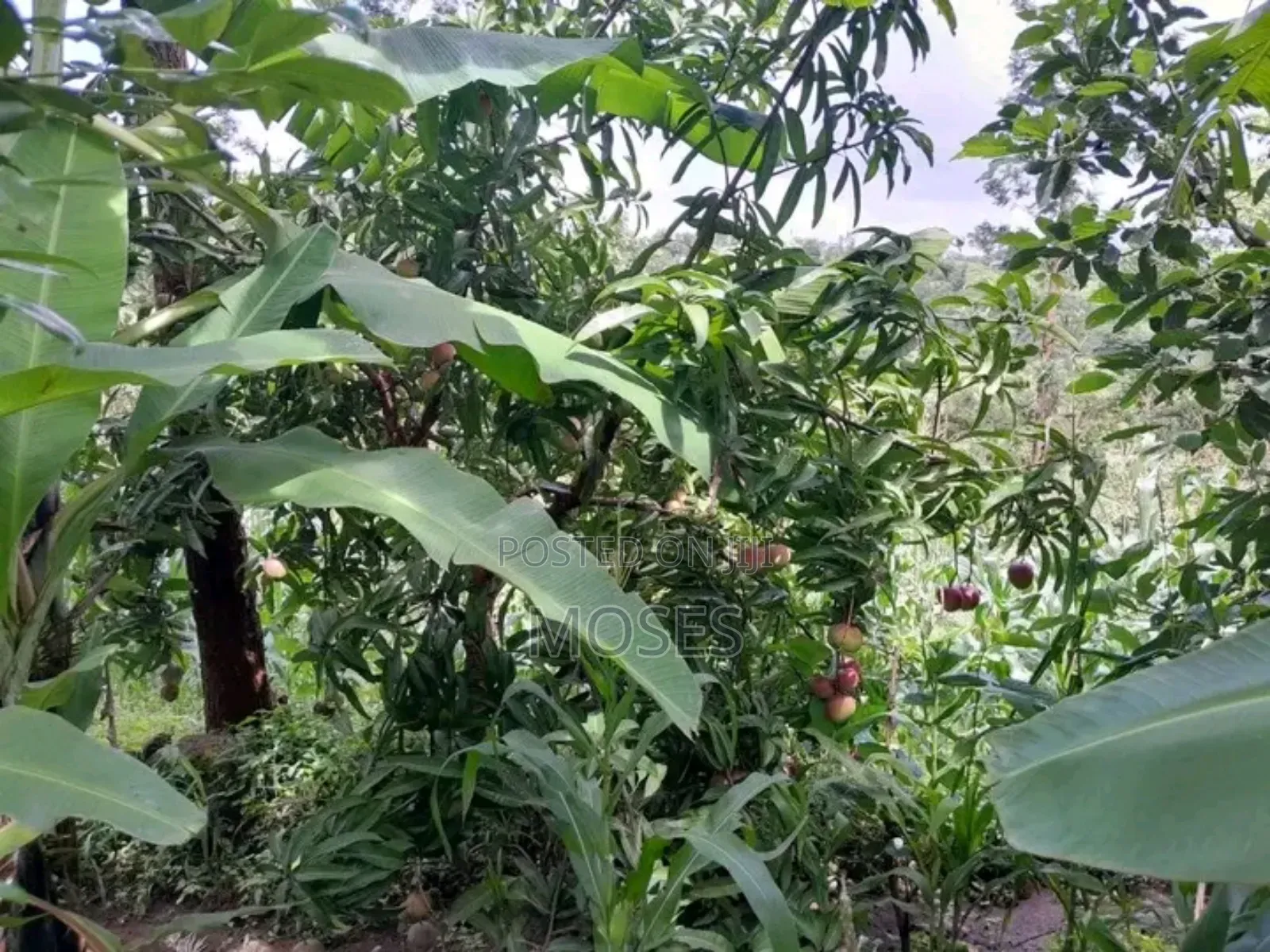 1 Acre Land