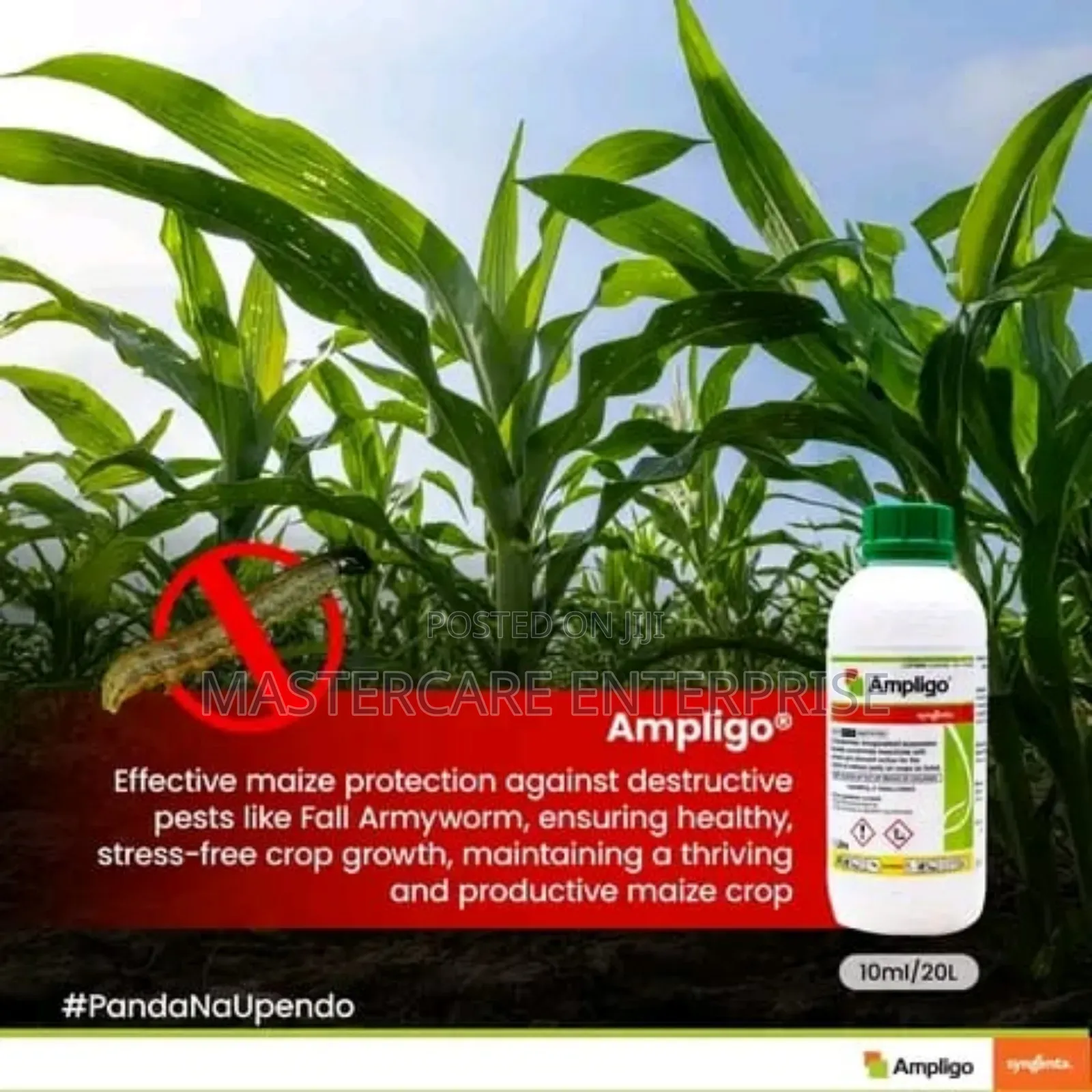 Ampligo 1 Litre