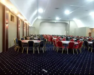 Executive Conference Carpet | Elegant Dotted Design