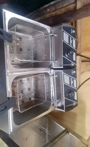 Imported Double Electric Fryer