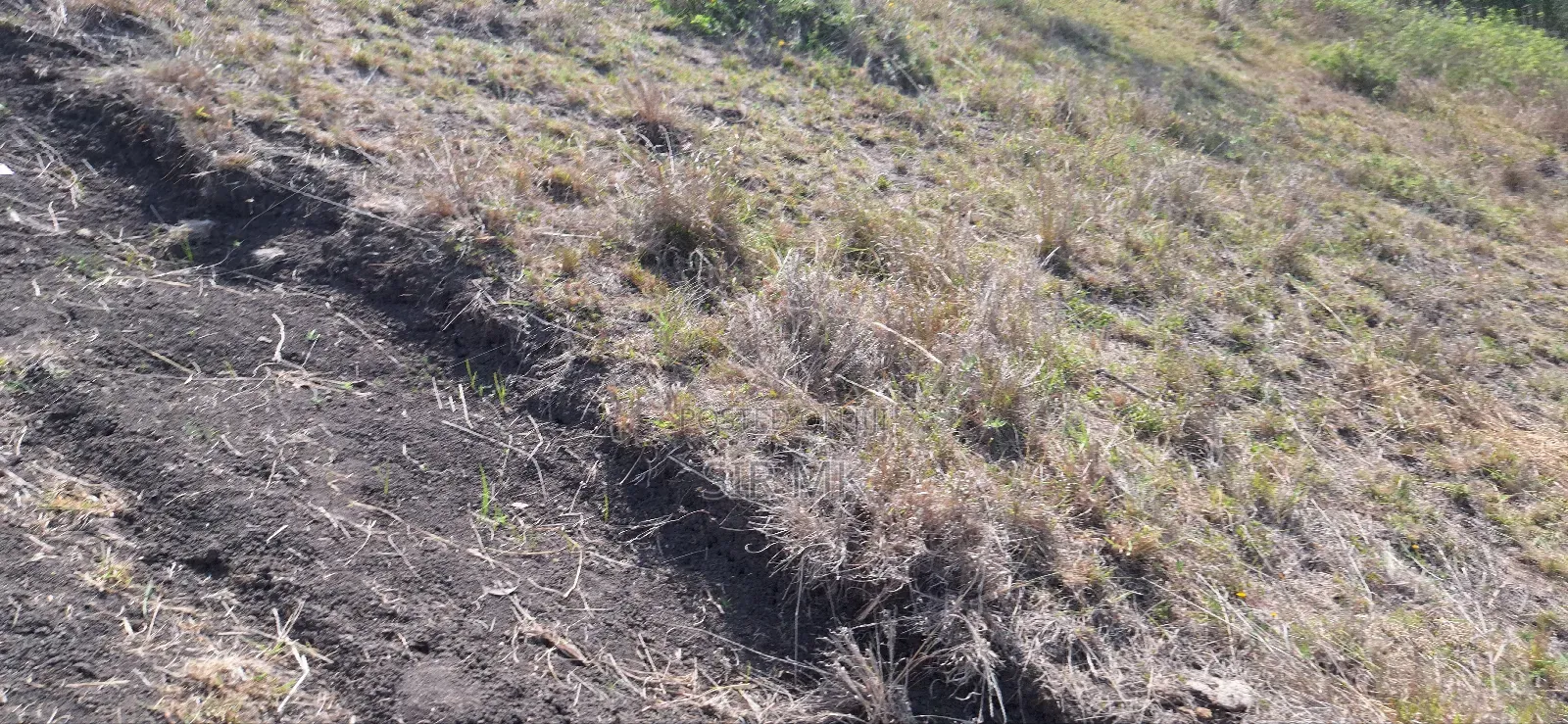 3 Plots for Sale