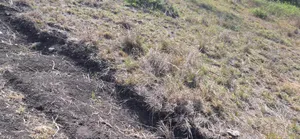 3 Plots for Sale