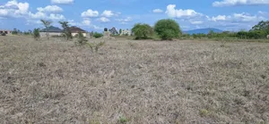 3 Plots for Sale